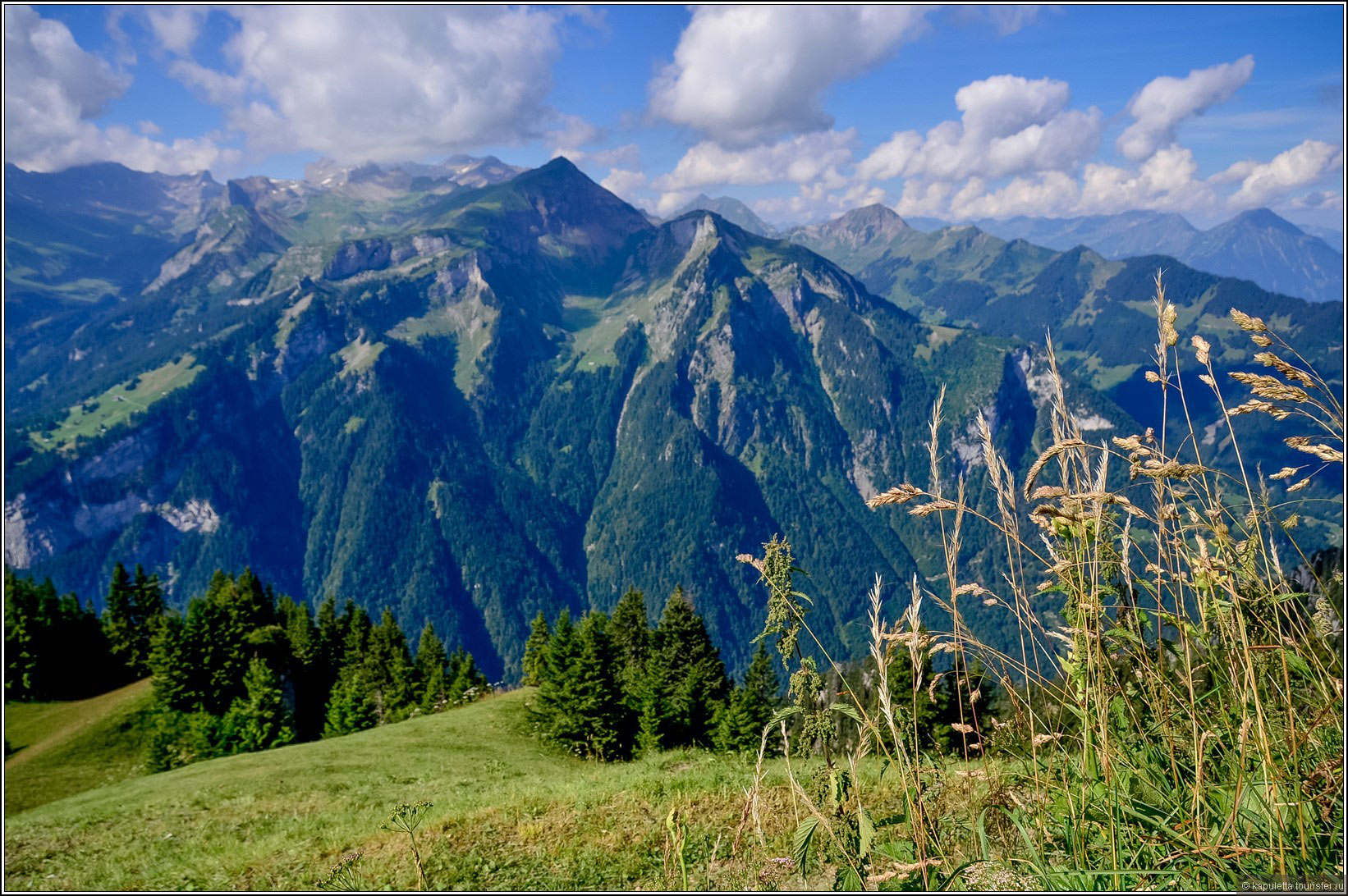 Schynige Platte (Wilderswil)